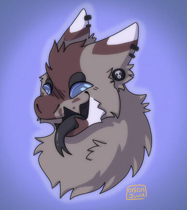 for SnoozyDoozy#2654 (discord)